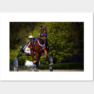 harness horse cart racing Posters and Art